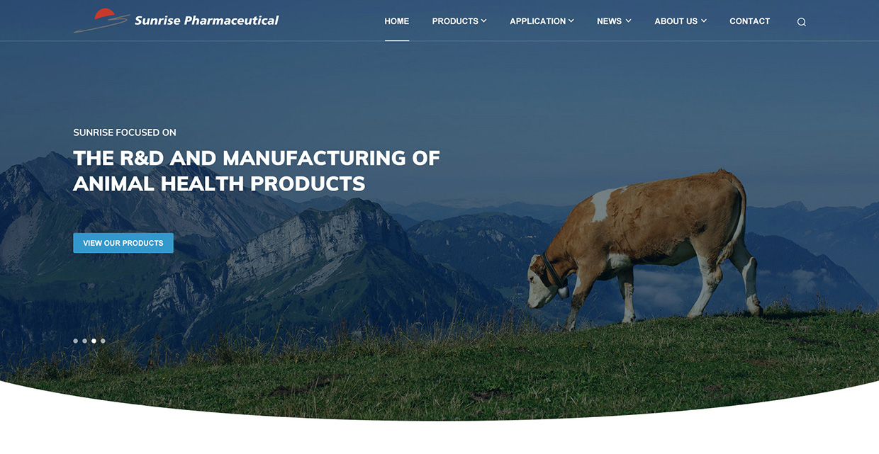 浙江日出藥業(yè)有限公司網(wǎng)站案例