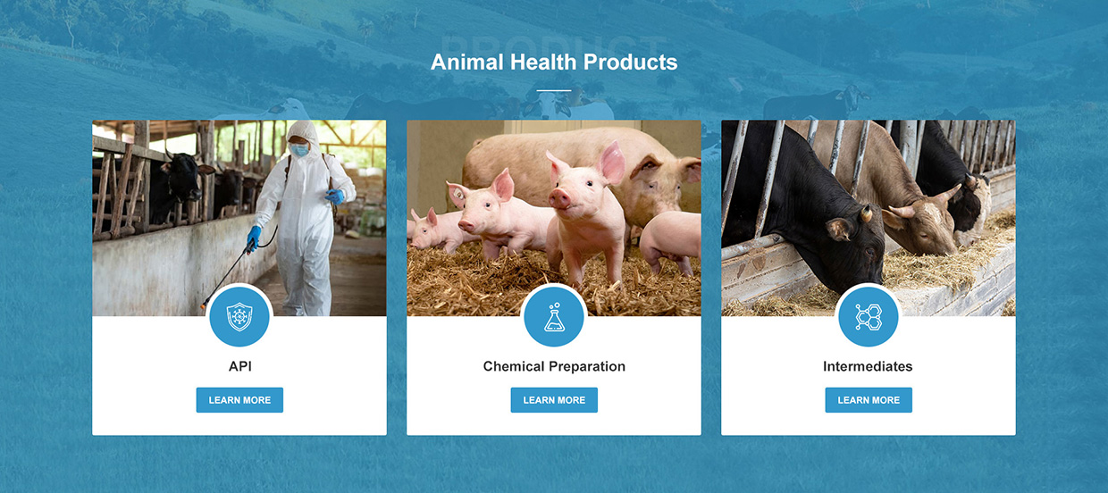 浙江日出藥業(yè)有限公司網(wǎng)站案例