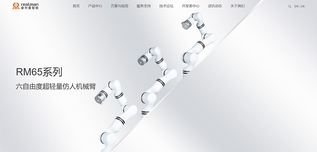 睿爾曼智能網(wǎng)站建設(shè)效果圖