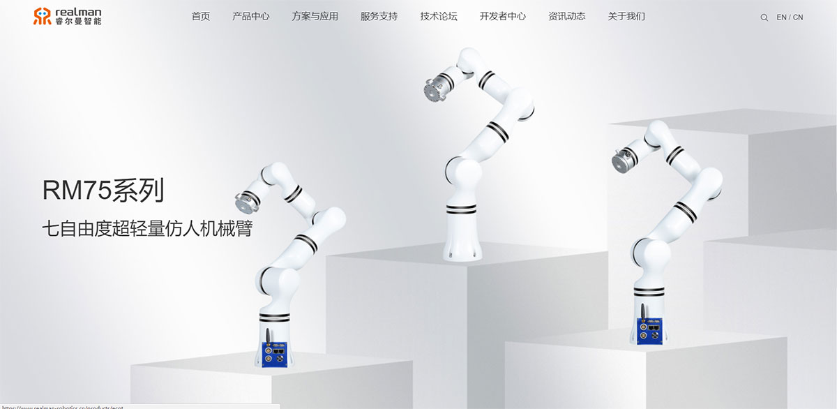 睿爾曼智能網(wǎng)站建設(shè)效果圖